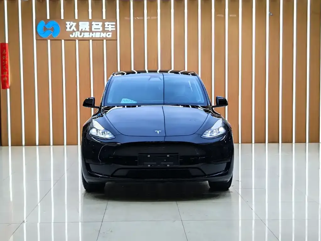 Tesla Model Y — фото 7