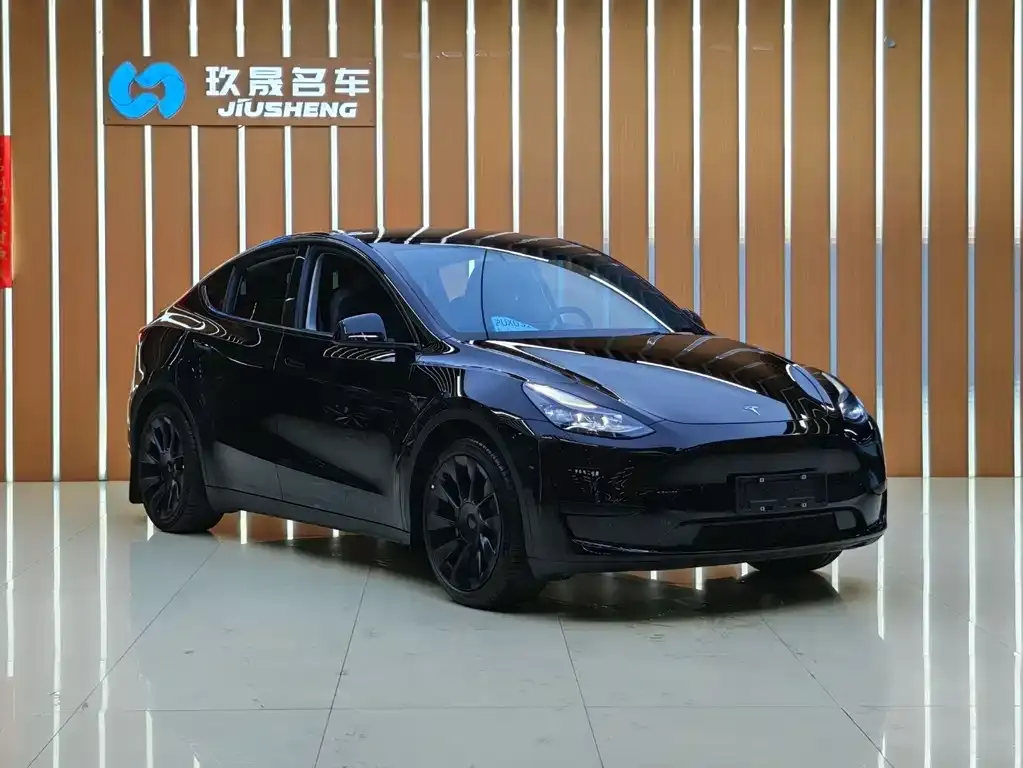 Tesla Model Y — фото 8