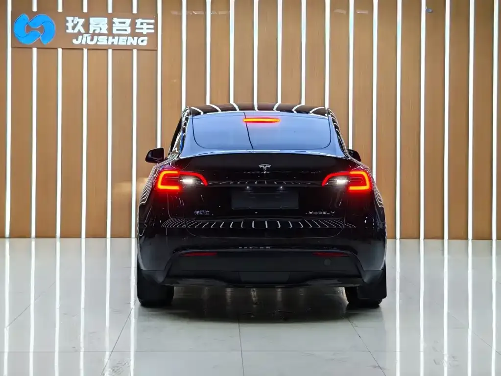 Tesla Model Y — фото 5