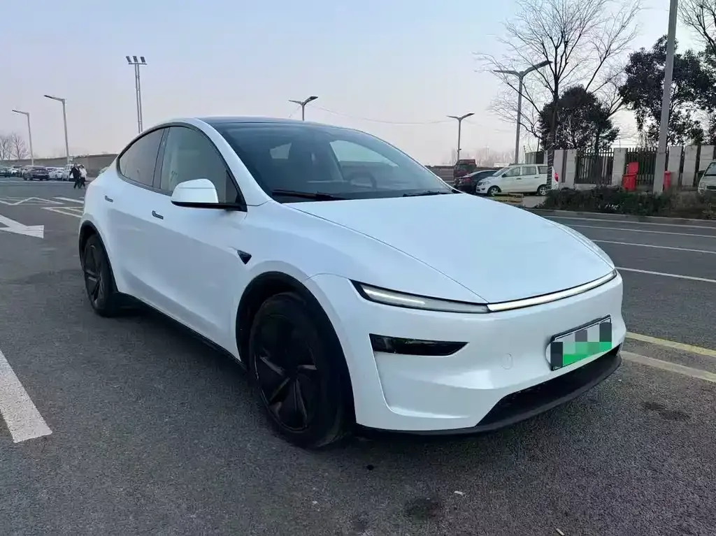 Tesla Model Y — фото 2