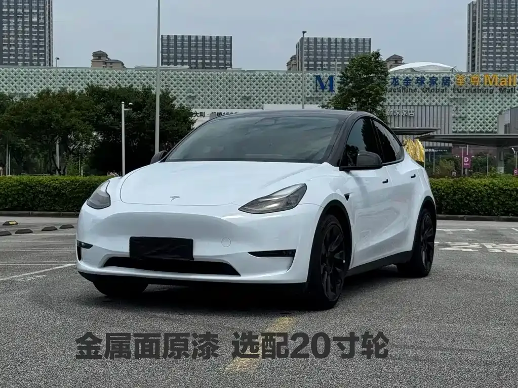 Tesla Model Y — фото 1