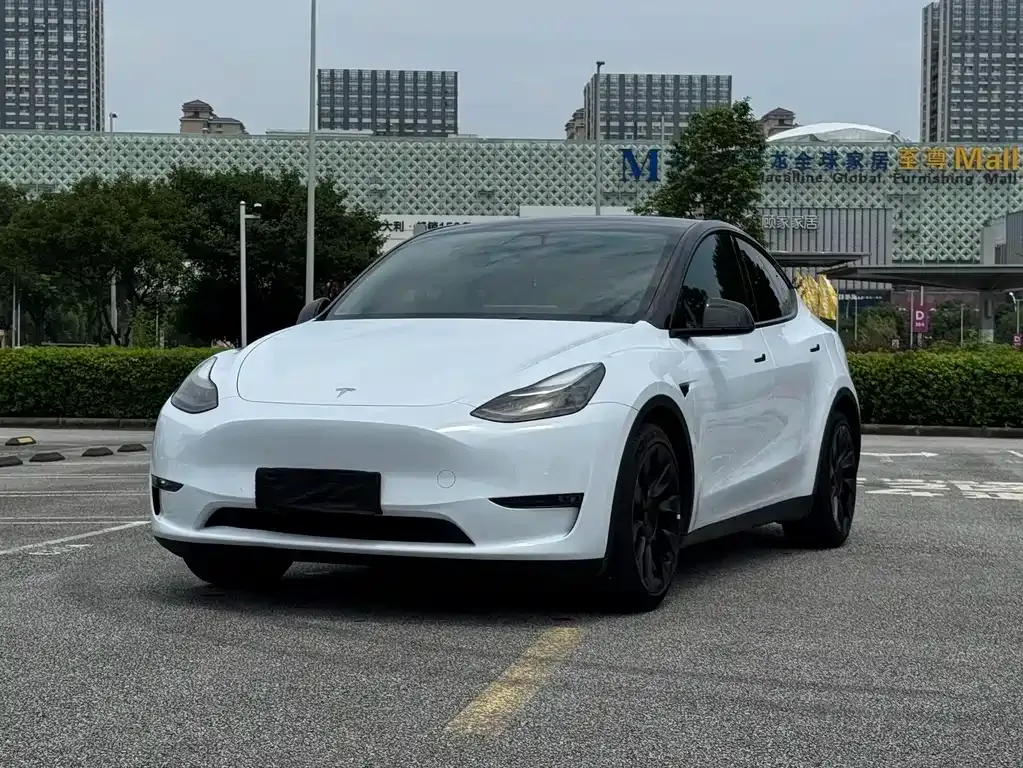 Tesla Model Y — фото 10