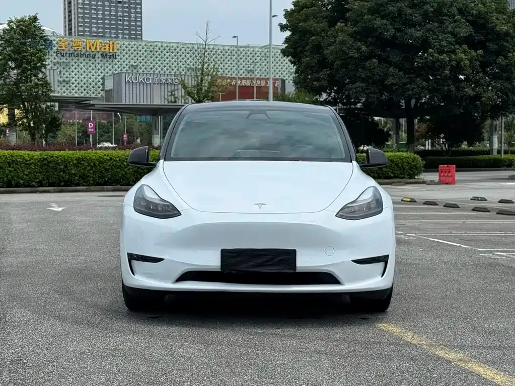 Tesla Model Y — фото 8