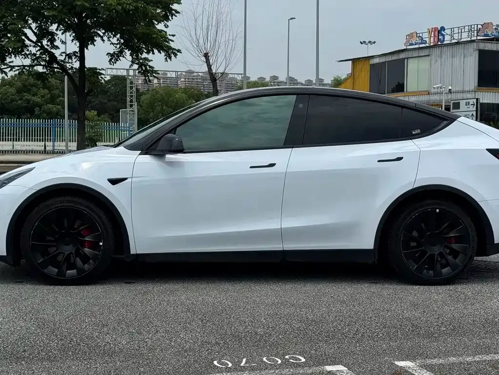 Tesla Model Y — фото 6