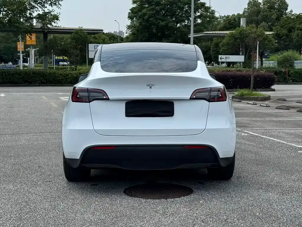 Tesla Model Y — фото 4