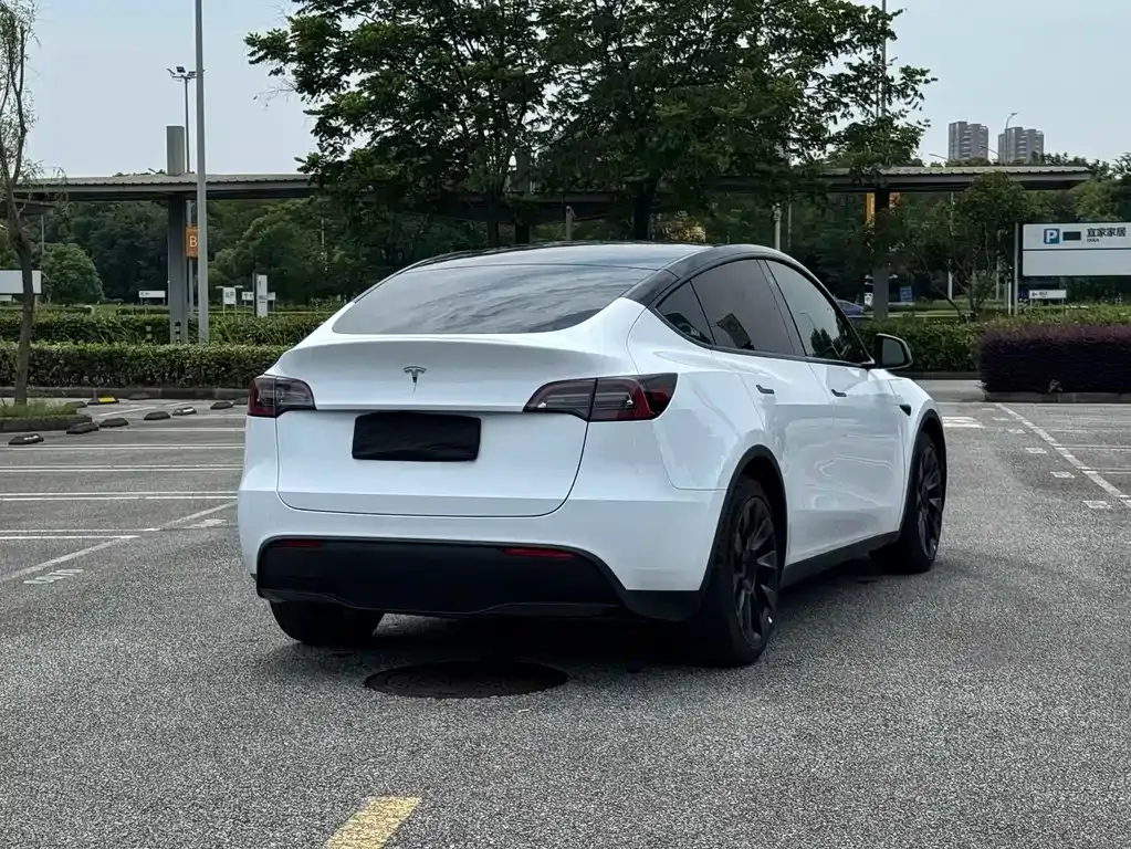 Tesla Model Y — фото 9