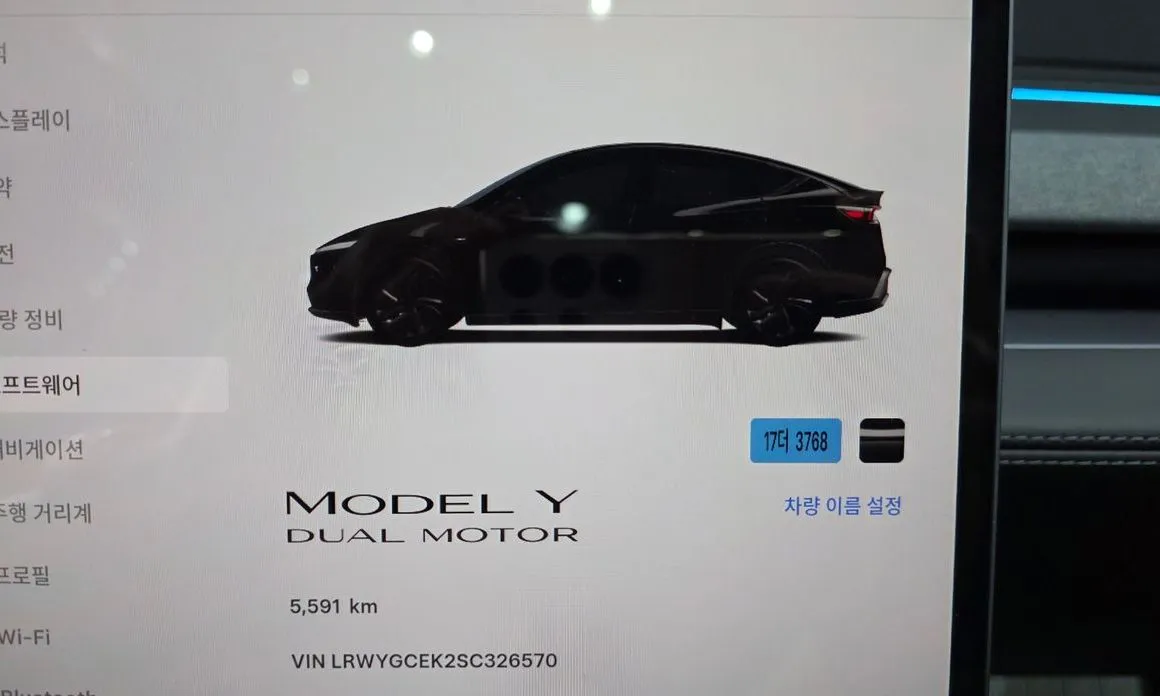 Tesla Model Y — фото 7