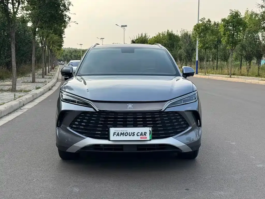 BYD L DM-i — фото 3