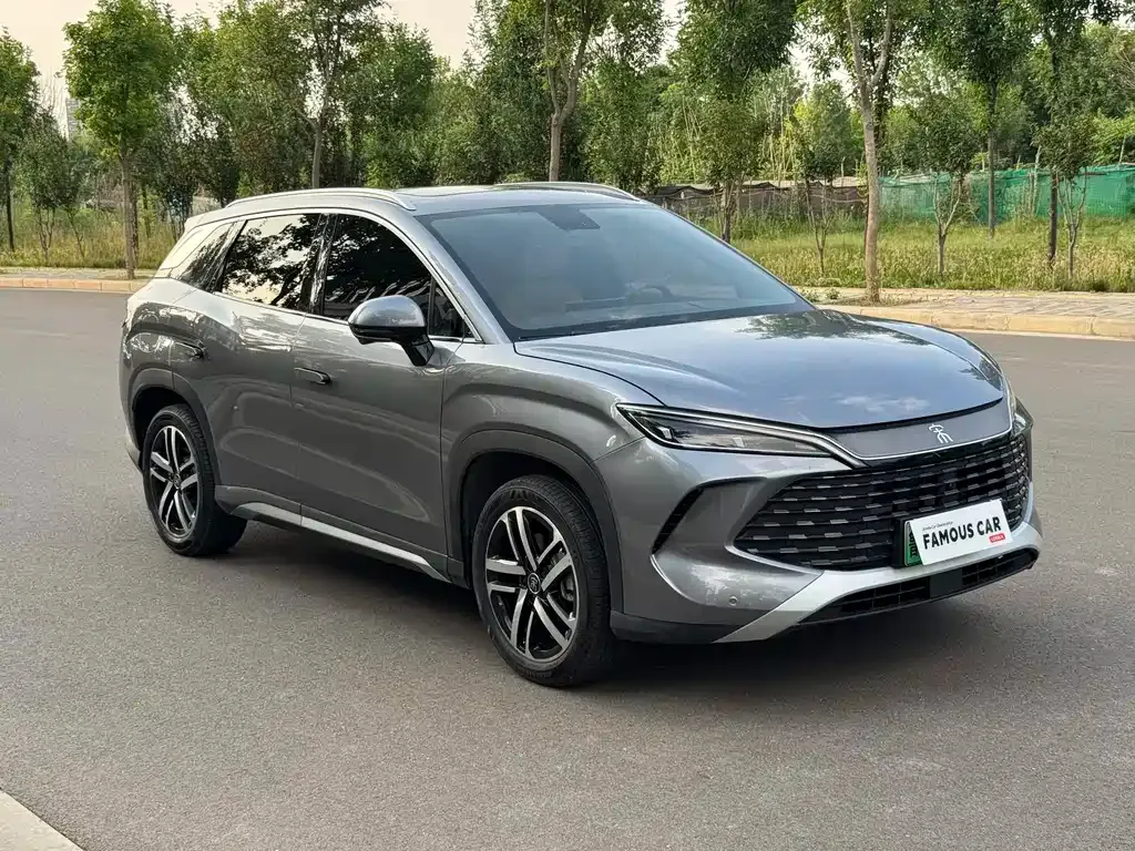 BYD L DM-i — фото 7