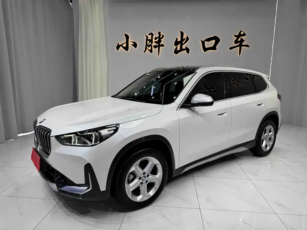 BMW X1 — фото 1