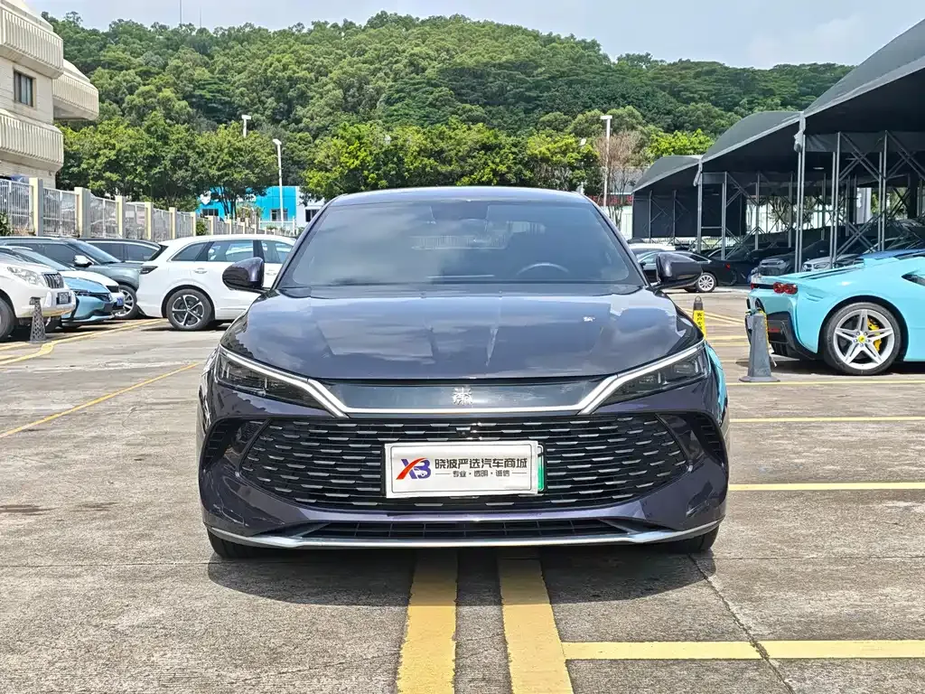 BYD Qin L 2024 из CN, фото 9