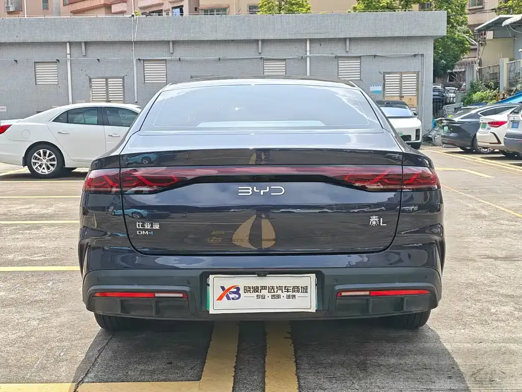 BYD Qin L 2024 из CN, фото 3