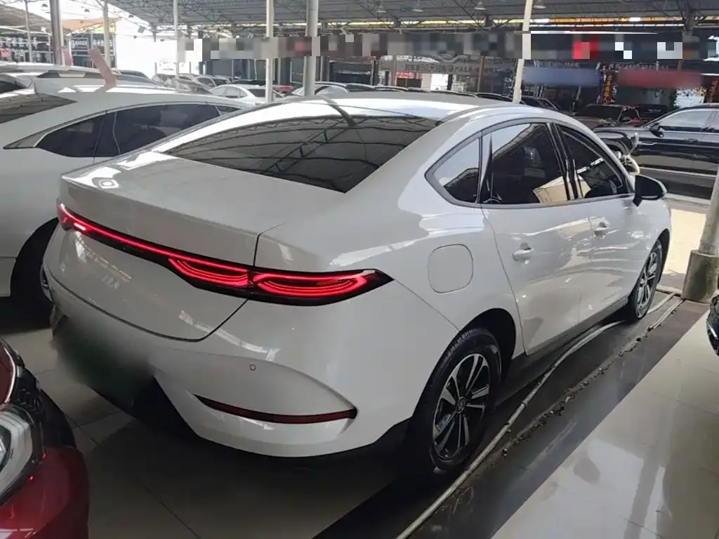 BYD Qin PLUS — фото 6