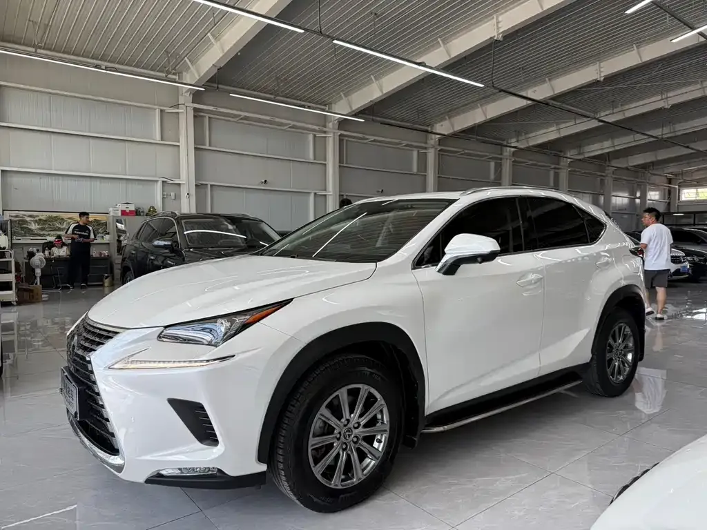 Lexus NX 2021 из CN, фото 5