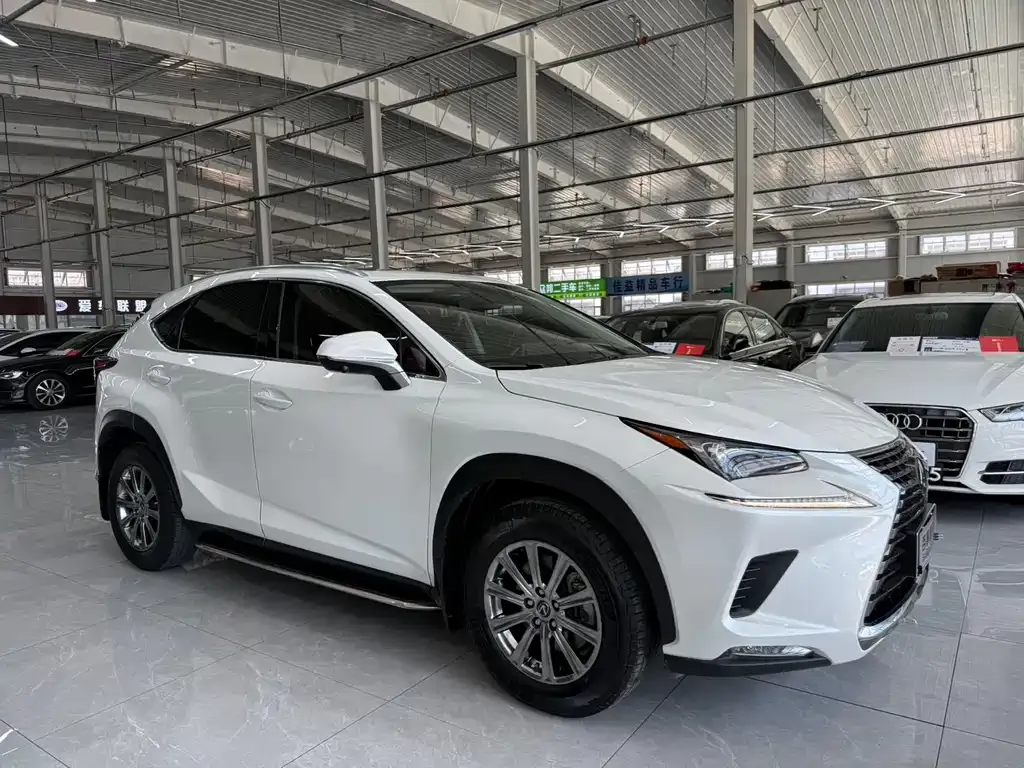 Lexus NX 2021 из CN, фото 7