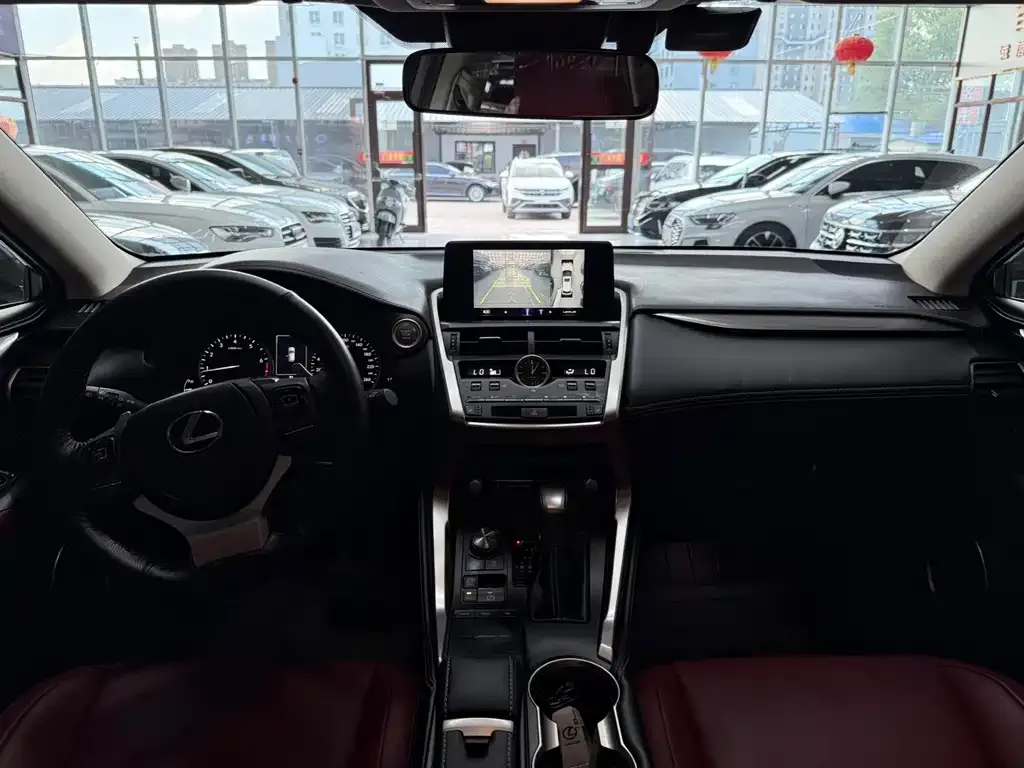 Lexus NX 2021 из CN, фото 10