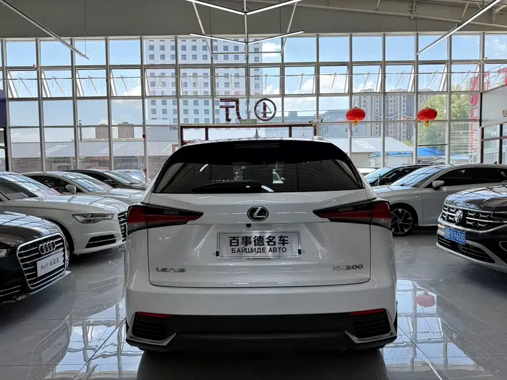 Lexus NX 2021 из CN, фото 6