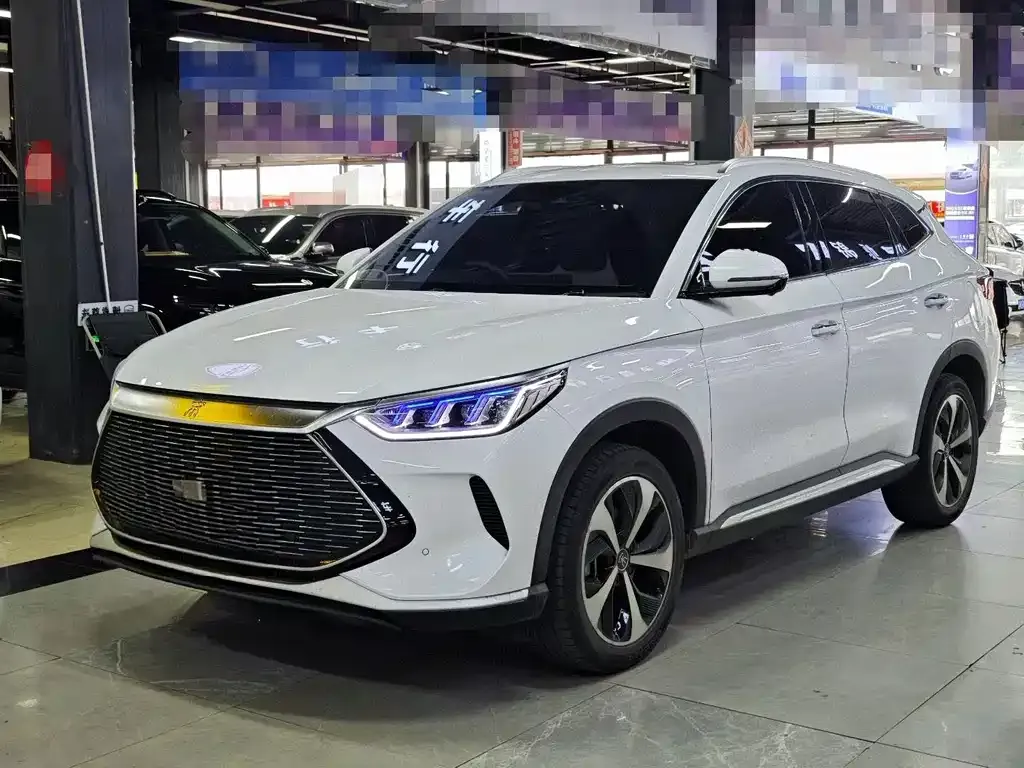 BYD PLUS New Energy — фото 1