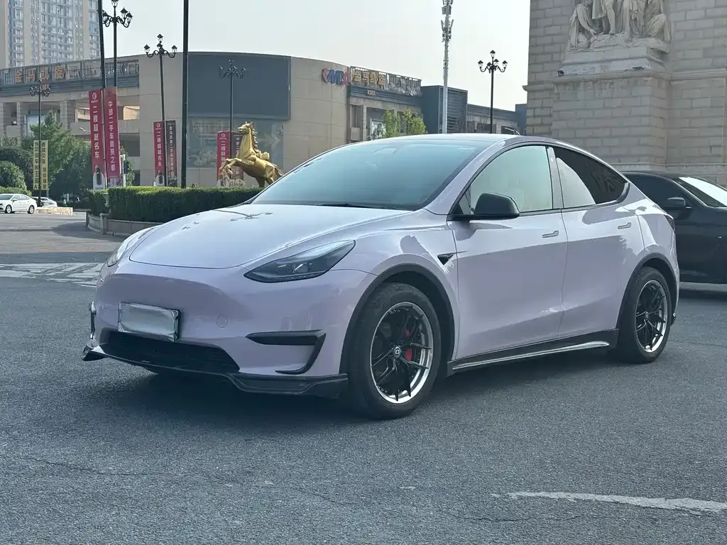 Tesla Model Y — фото 1