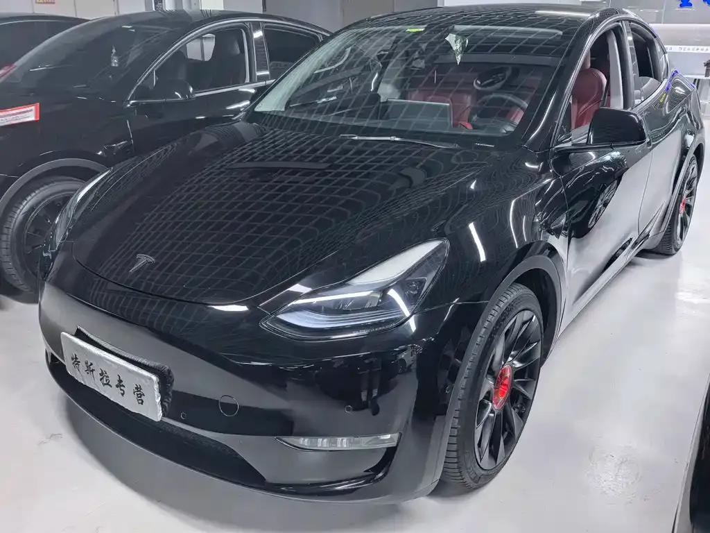Tesla Model Y — фото 1