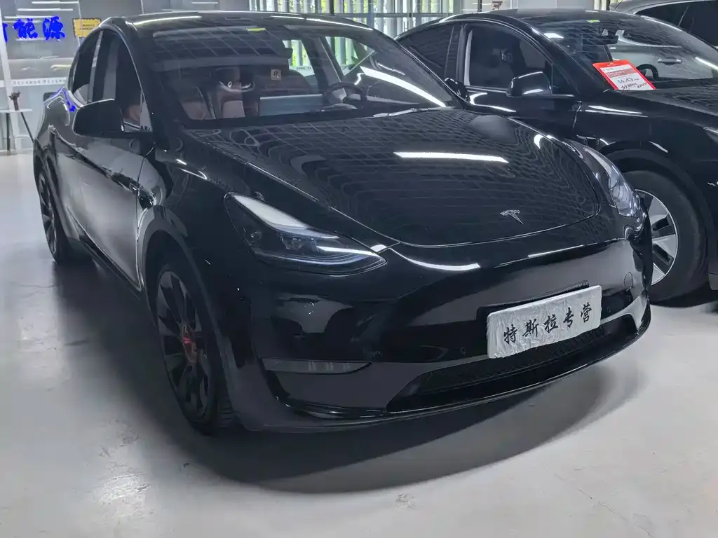 Tesla Model Y — фото 10