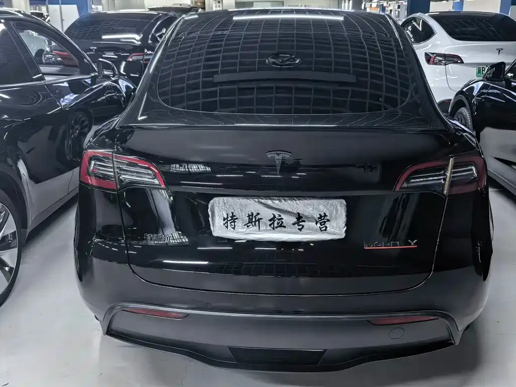 Tesla Model Y — фото 8