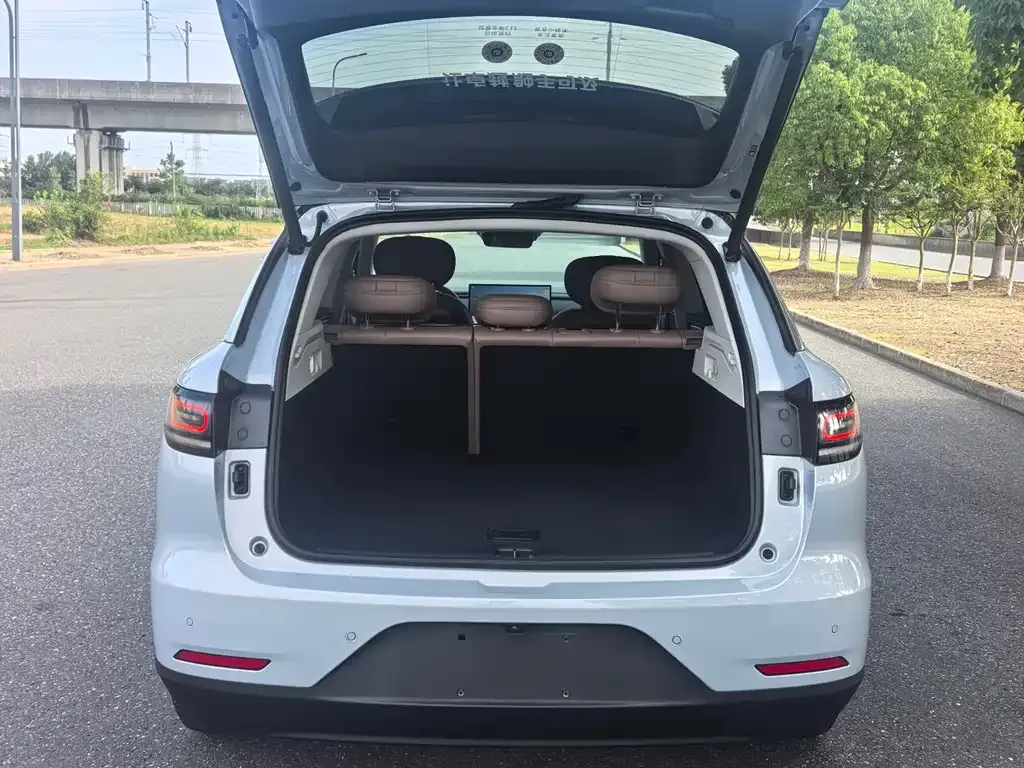 Leapmotor C11 — фото 9