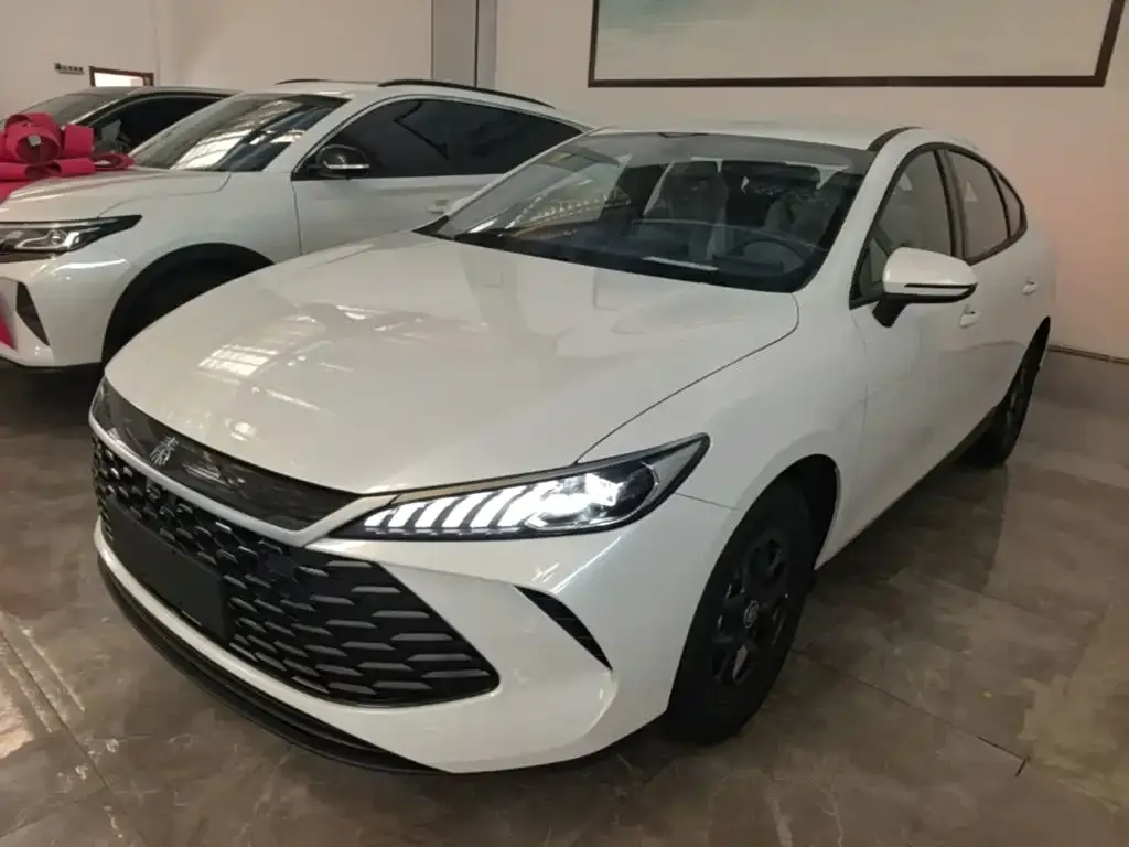BYD Qin PLUS — фото 1