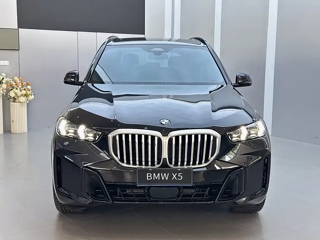 BMW X5 — фото 9