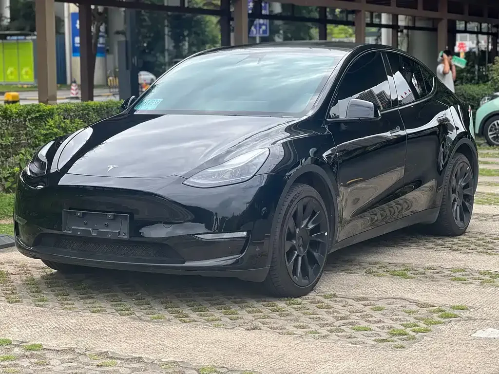 Tesla Model Y — фото 1