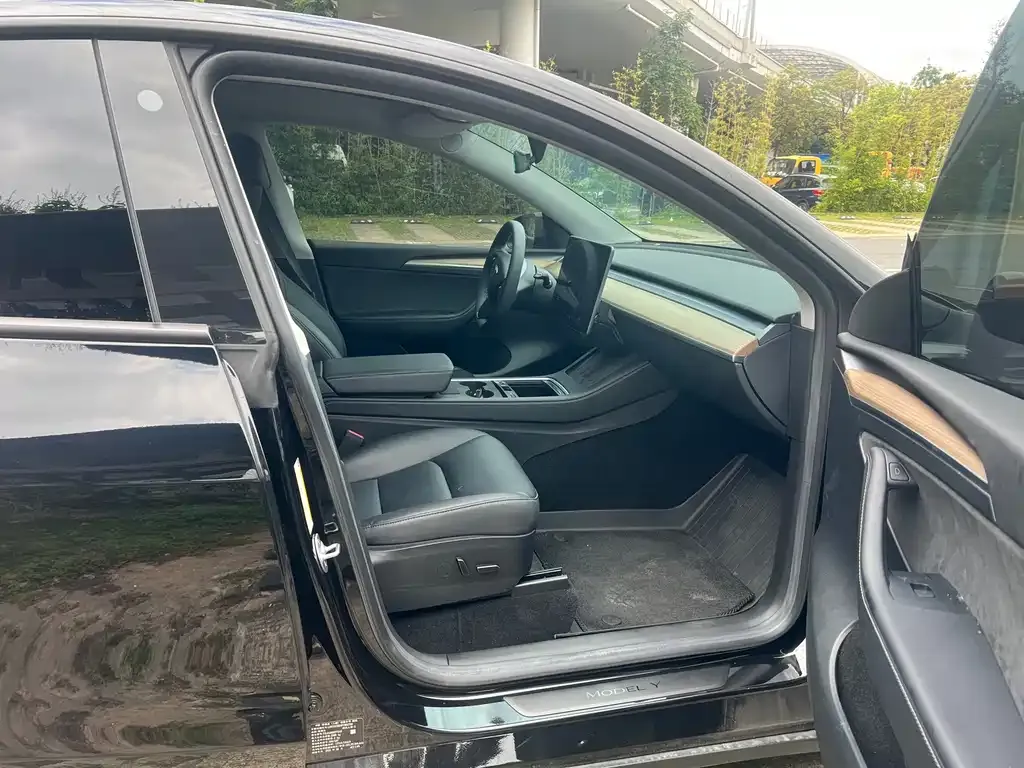 Tesla Model Y — фото 2