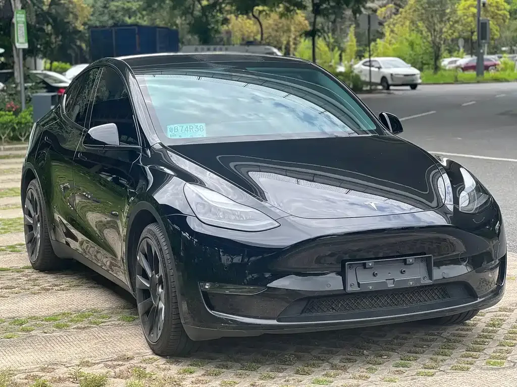 Tesla Model Y — фото 6