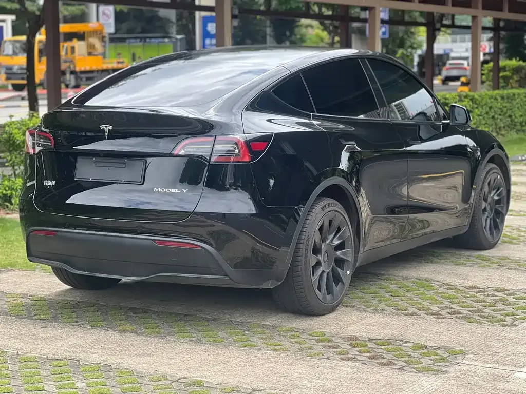 Tesla Model Y — фото 3