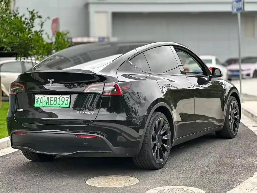 Tesla Model Y — фото 8
