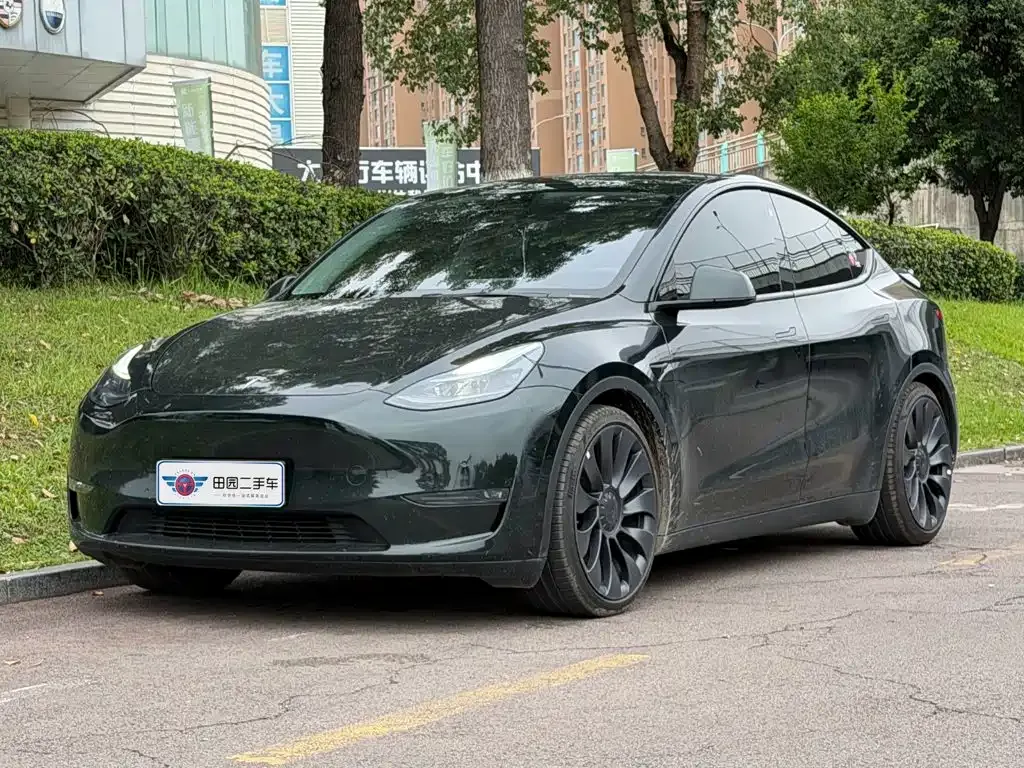 Tesla Model Y — фото 1