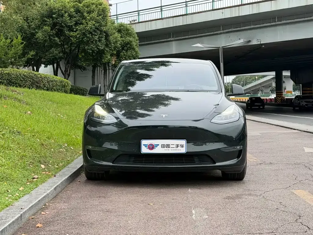 Tesla Model Y — фото 10