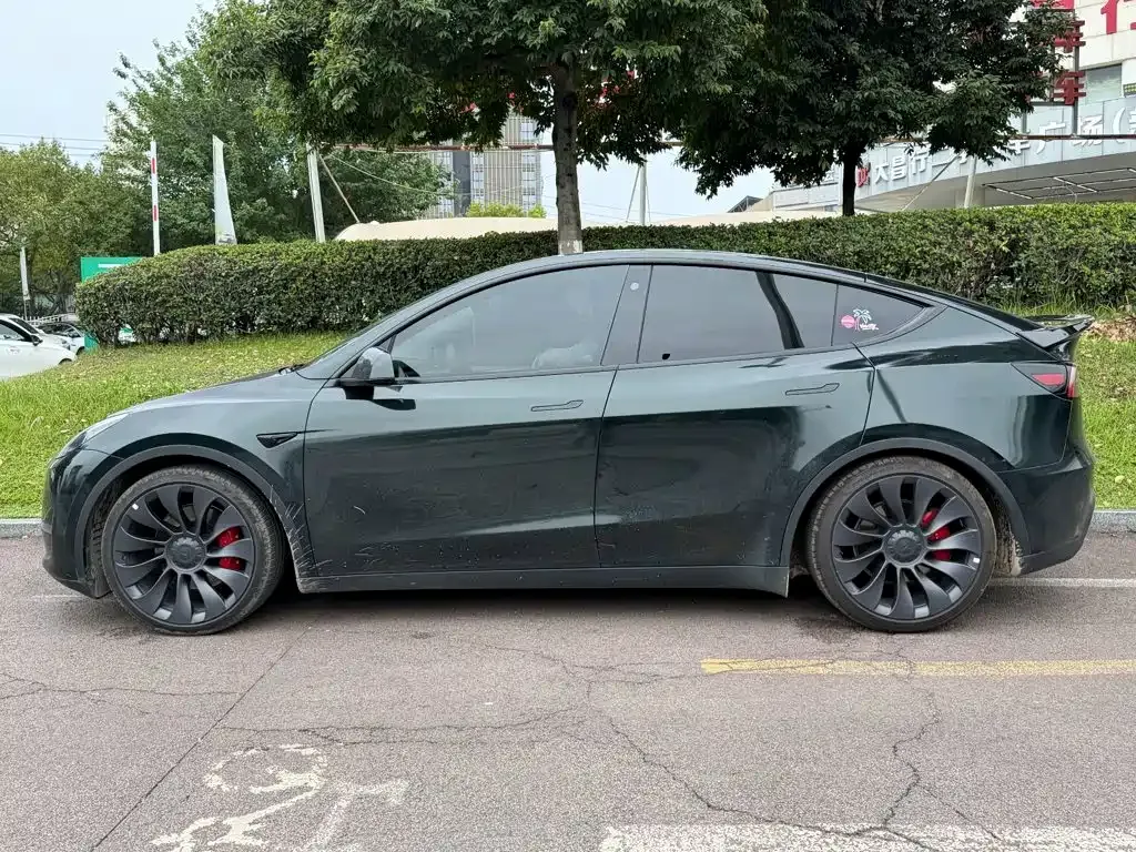 Tesla Model Y — фото 8