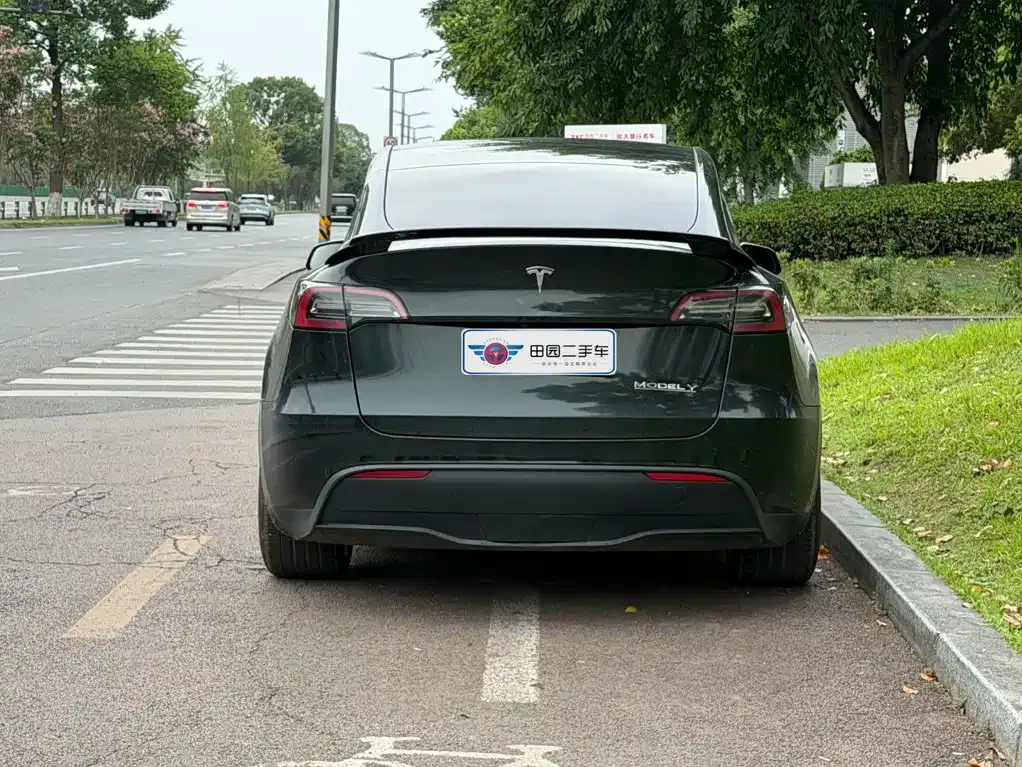 Tesla Model Y — фото 6