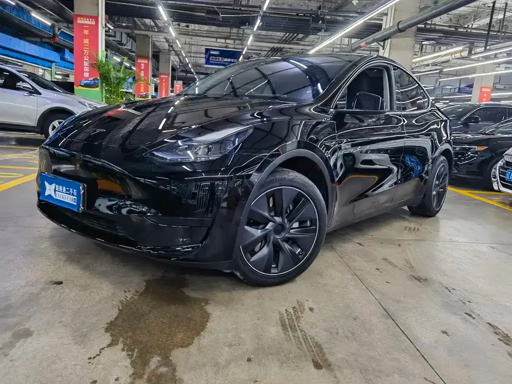 Tesla Model Y — фото 1