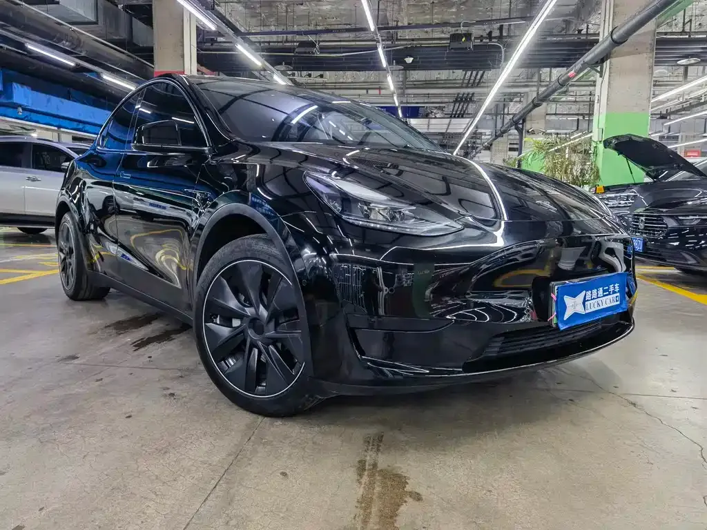 Tesla Model Y — фото 9