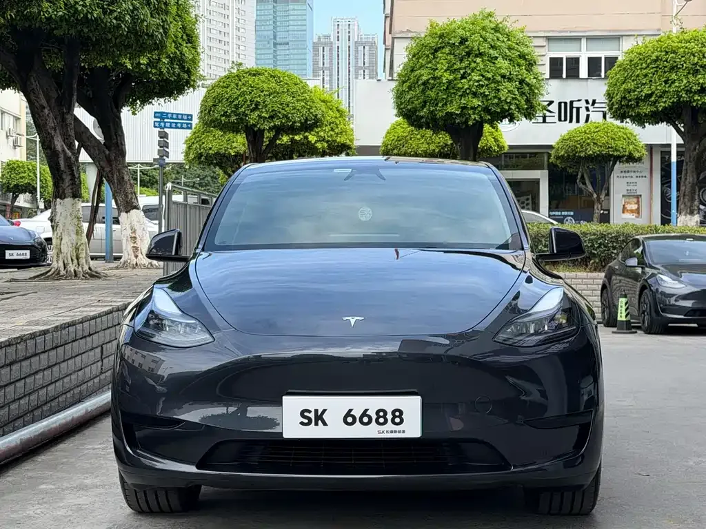 Tesla Model Y — фото 5