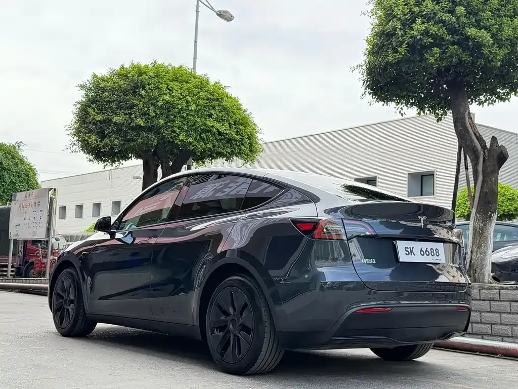 Tesla Model Y — фото 9