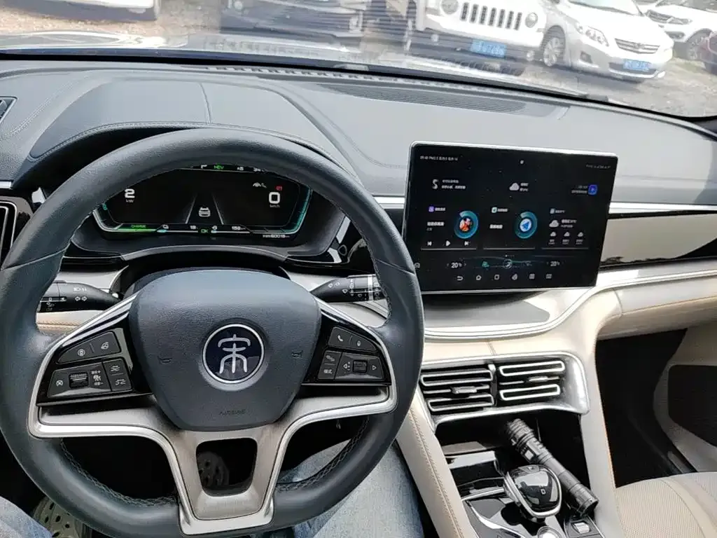 BYD PLUS New Energy — фото 6