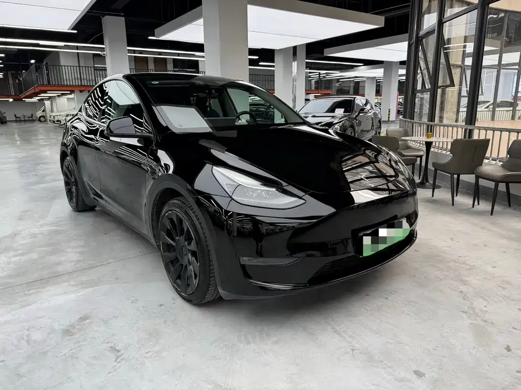 Tesla Model Y — фото 9