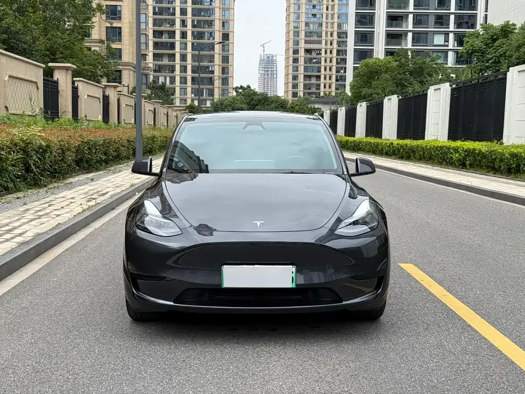 Tesla Model Y — фото 10