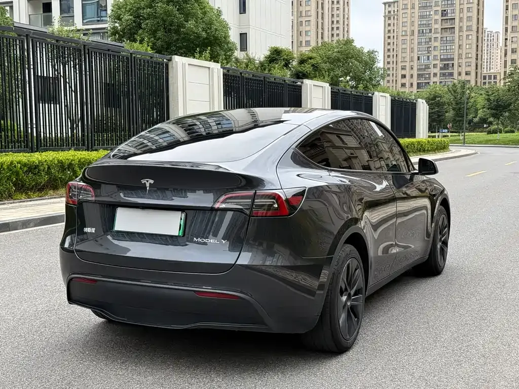 Tesla Model Y — фото 9