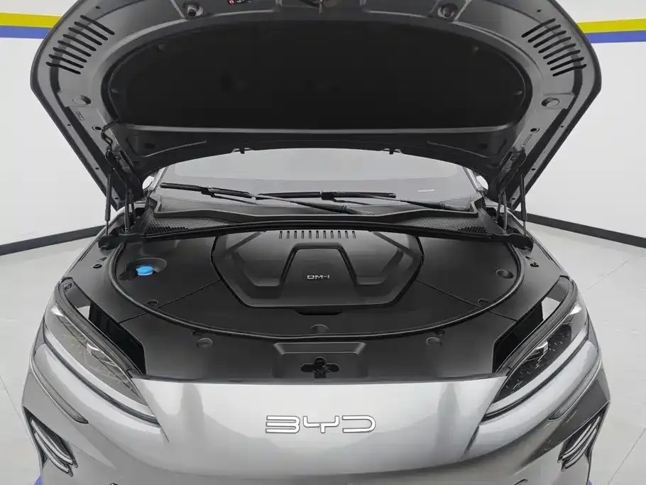 BYD PLUS New Energy — фото 3