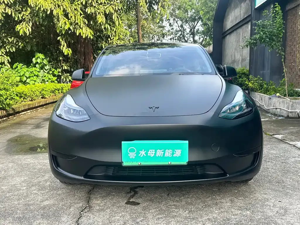 Tesla Model Y — фото 9