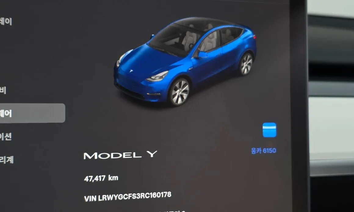 Tesla Model Y — фото 4