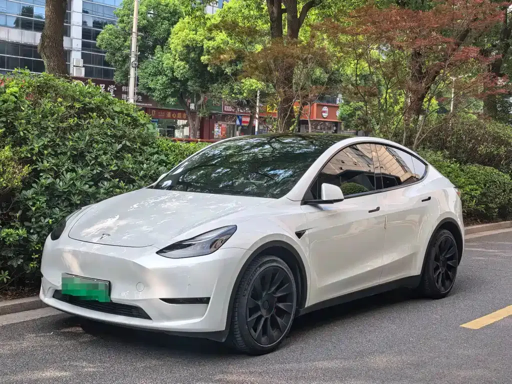 Tesla Model Y — фото 1